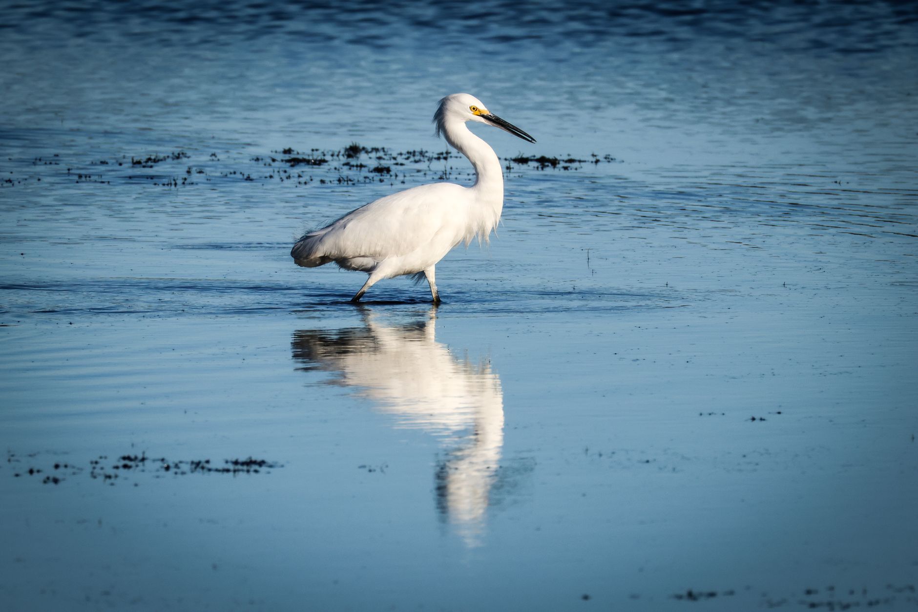Hernando Beach